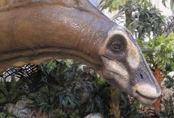 Dinosauri - Dinosaurs