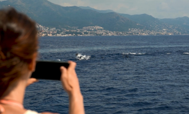 ADG CrocierAcquario 2023 2 media def (1)