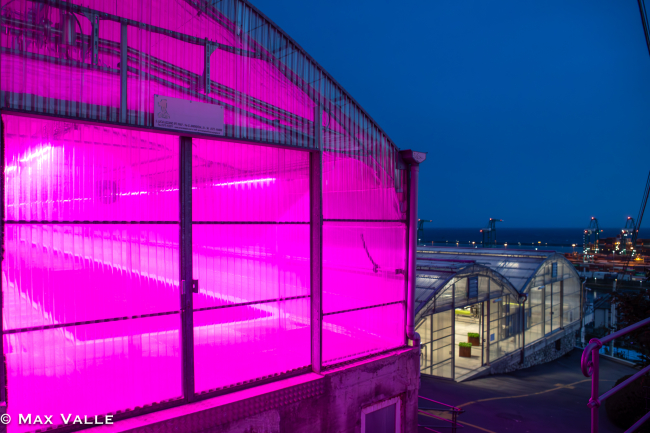 PELLEGRINAGGI - Serre del basilico di Pra' @Max Valle