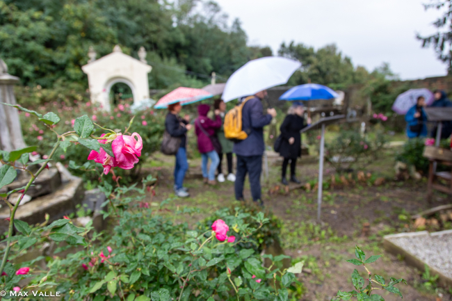 PELLEGRINAGGI Roseto del Cimitero Monumentale di Murta