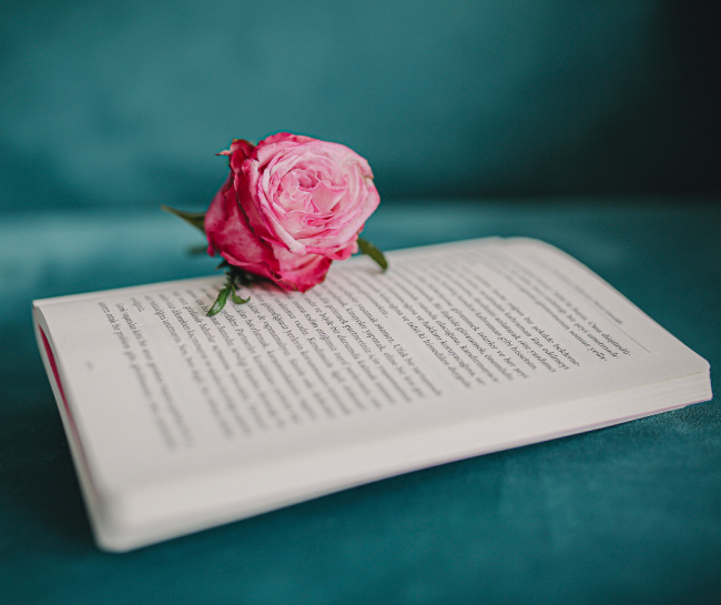 Una rosa rosa appoggiata su un libro aperto, con sfondo verde acqua.