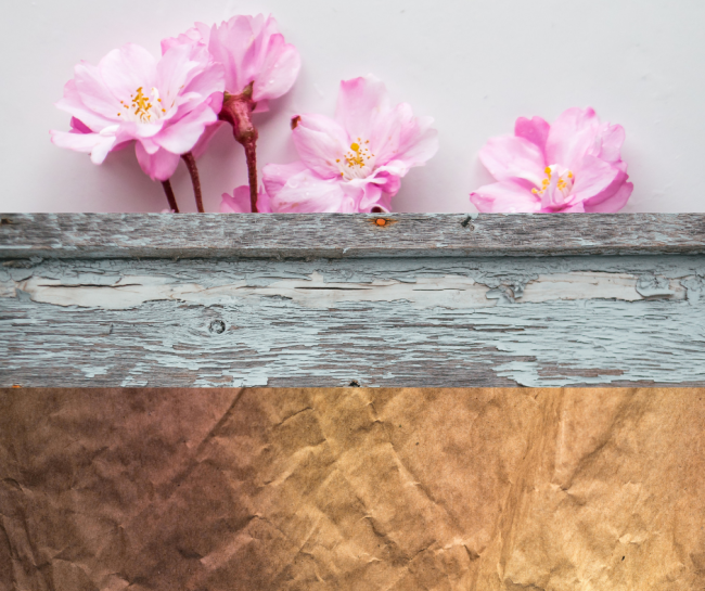 Fiori rosa, legno scrostato e carta marrone spiegazzata.