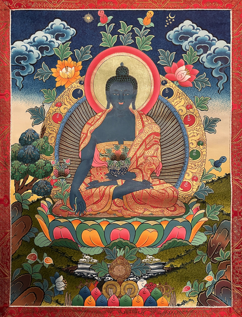 Inaugurazione di rinnovata area espositiva  "Medicine Tradizionali dei Popoli"