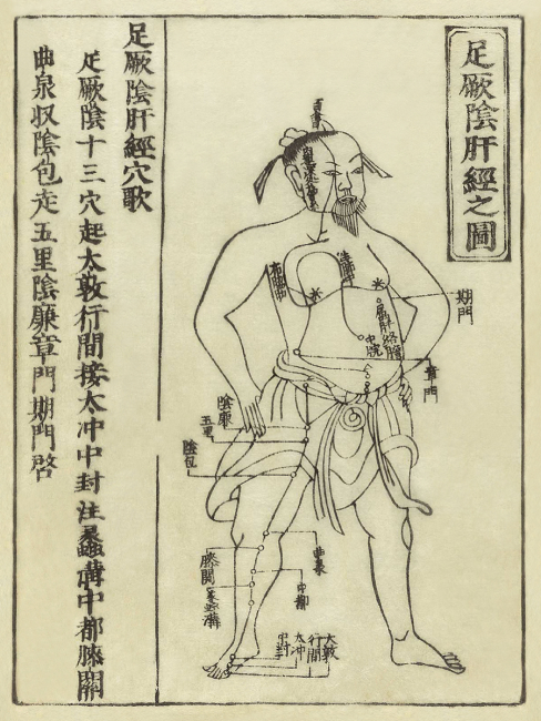 Inaugurazione di rinnovata area espositiva  "Medicine Tradizionali dei Popoli"