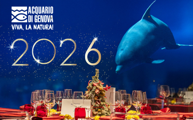 Capodanno all'Acquario di Genova - ©Archivio fotografico Acquario di Genova.