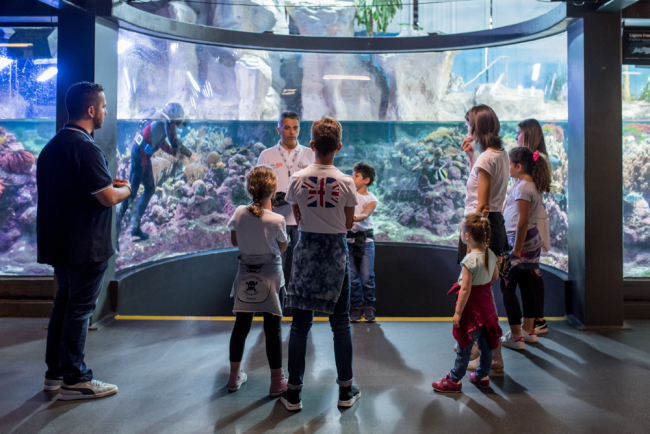 Aria di festa al mondo AcquarioVillage