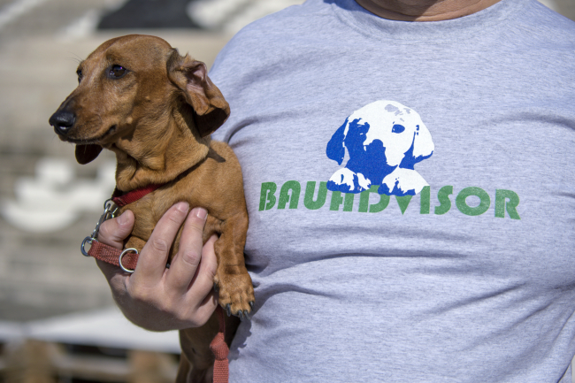 Dogs & museum road show 2025 - 2026