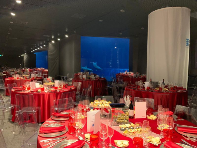 Capodanno tavoli vasca delfini