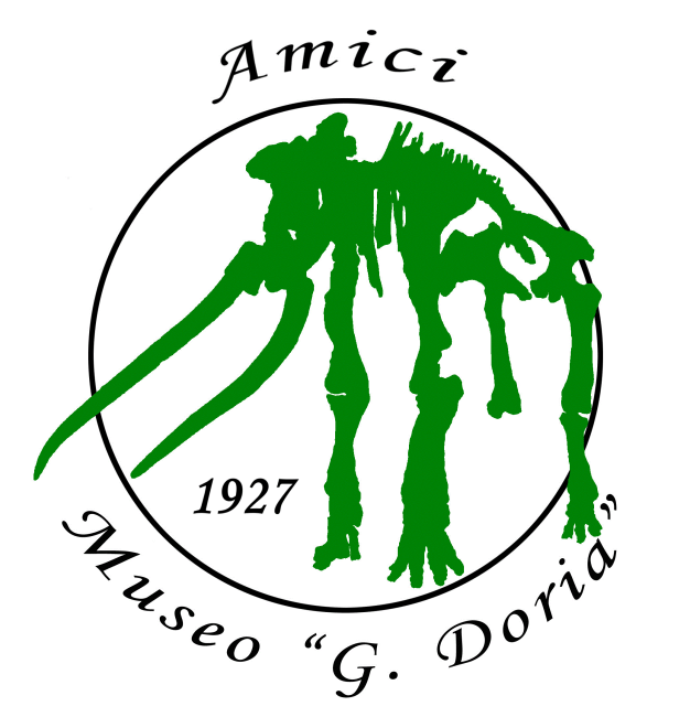 AMICI DEL MUSEO DORIA 