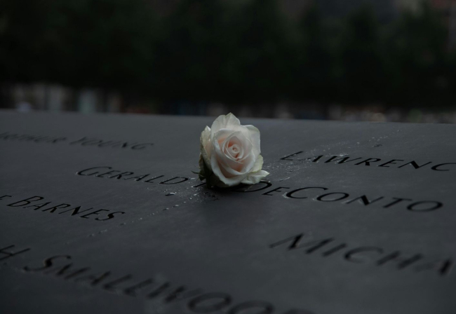 Una rosa bianca appoggiata su una lastra di pietra incisa con nomi, simbolo silenzioso di memoria, lutto e commemorazione.