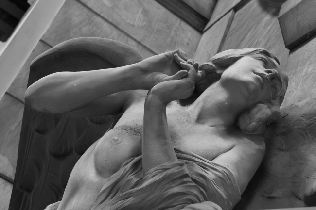 La fotografia che ha ricevuto una menzione speciale