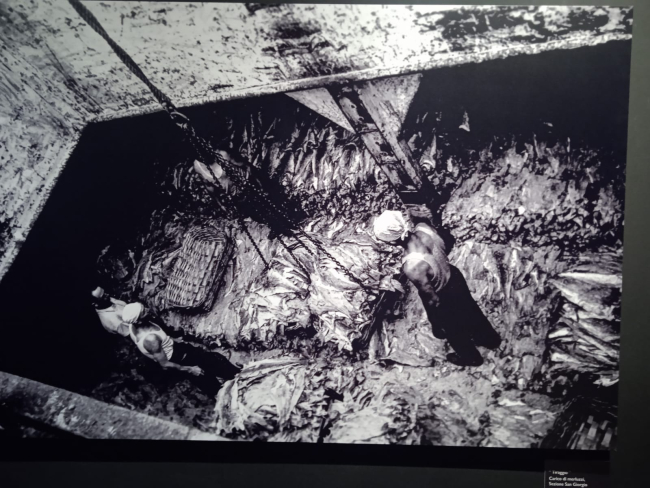 Camalli 1946-2026: la nostra storia. La mostra al Museo Galata 