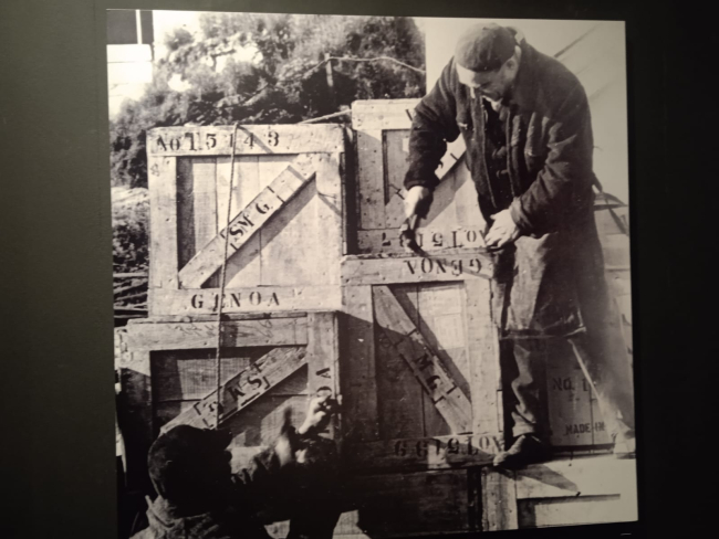 Camalli 1946-2026: la nostra storia. La mostra al Museo Galata 