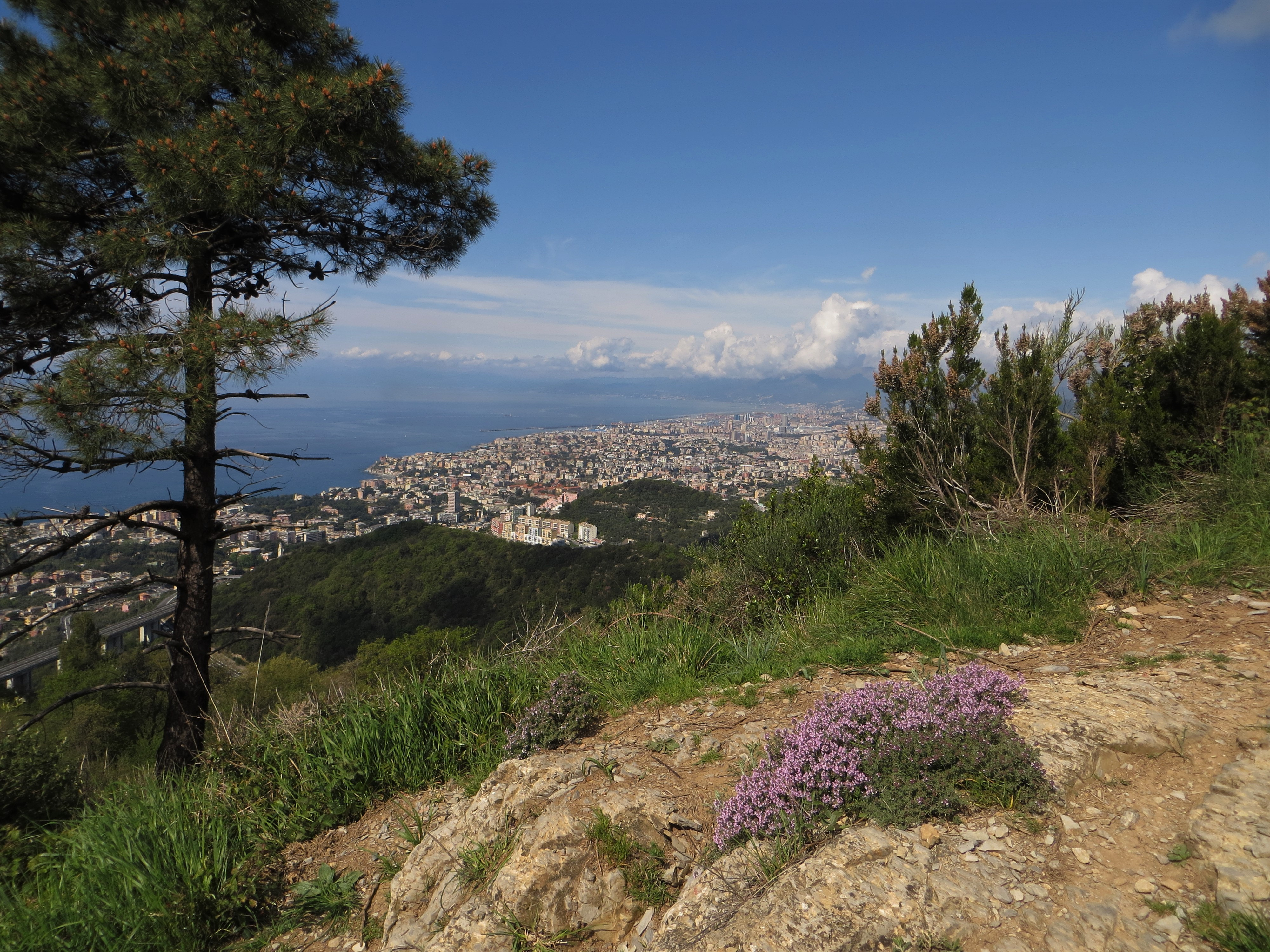 4 escursioni da fare il 2 giugno a Genova