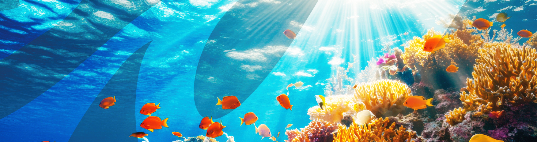 Giornata mondiale degli Oceani: Conoscere, Comprendere, Convivere 