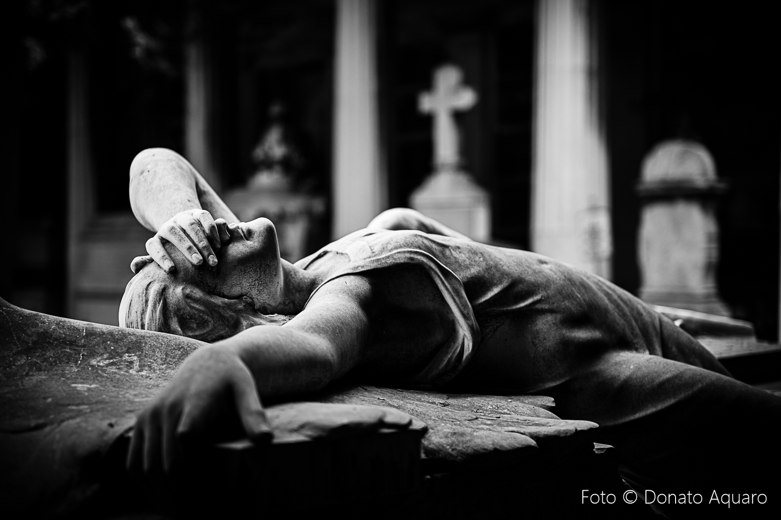 Settimana alla scoperta dei Cimiteri europei 2026