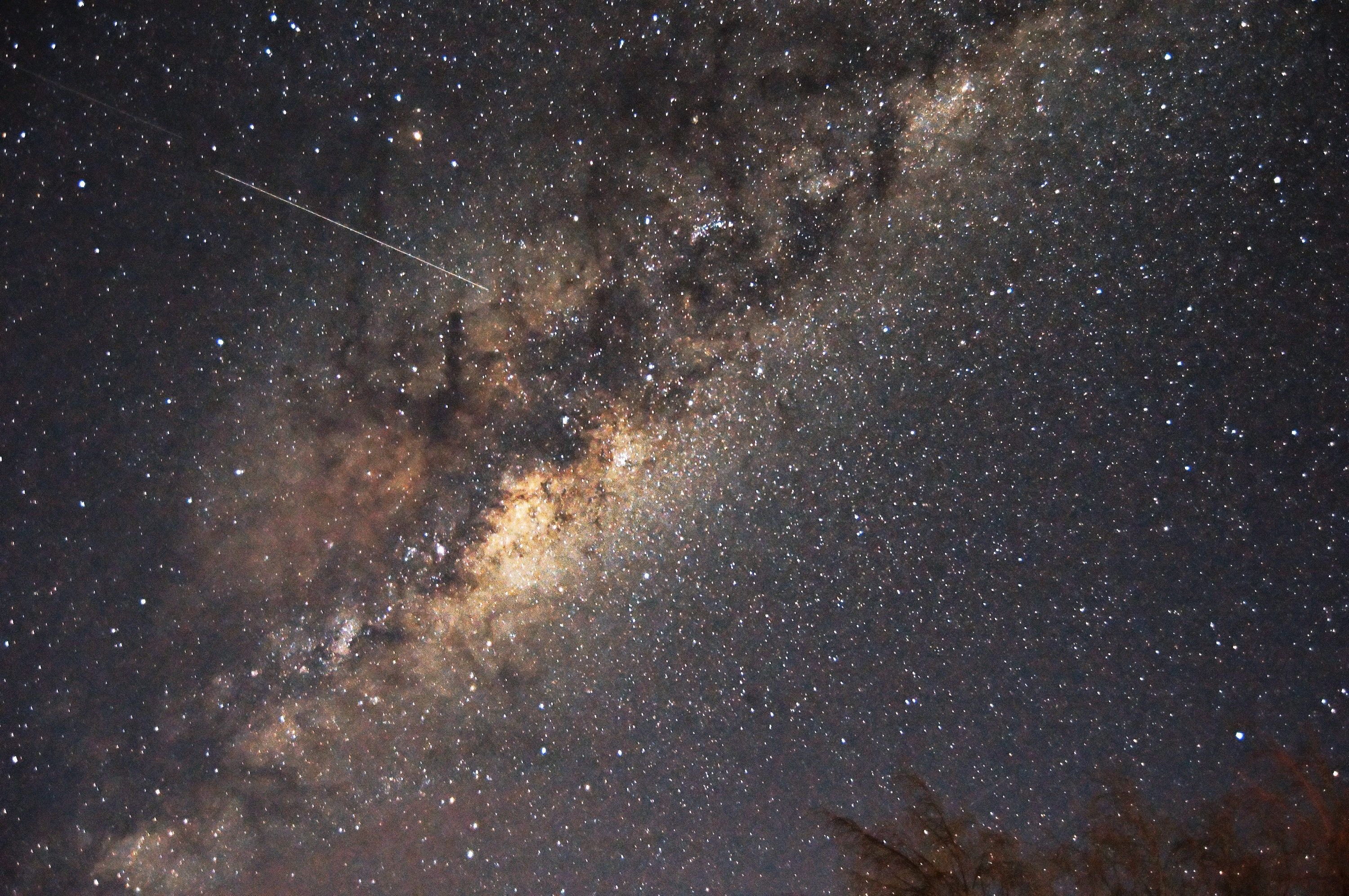 Notte di San Lorenzo, dove ammirare le stelle cadenti a Genova